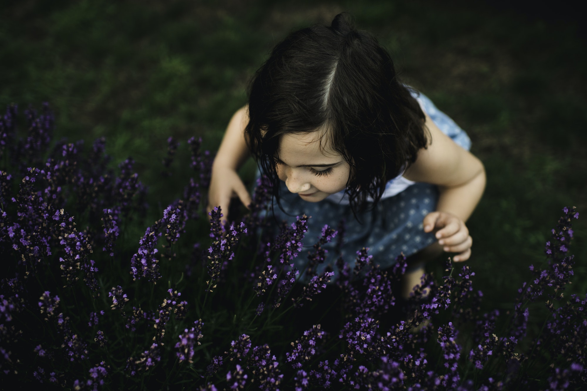 Girl among lavender